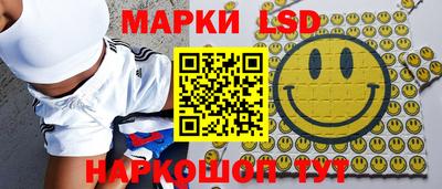 гидра Славгород
