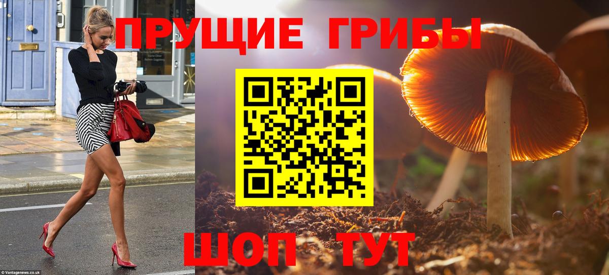 Нефтеюганск  Галлюциногенные грибы Psilocybine cubensis  Вход с VPN 